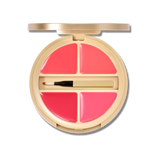 Goldberry Glowy Glow Shine Lip Palette #So Sleek Pink