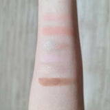 Zignature Maxx Cover Face Palette