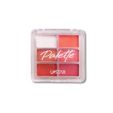 NEO Pro Eye & Blusher Palette