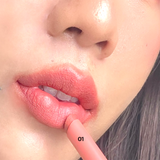 Zignature Maxx Cover Real Matte Lip #01 Toasted Coral