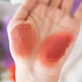 Zignature Maxx Cover Real Matte Lip #01 Toasted Coral