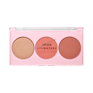 Zignature Maxx Cover Blush & Highlight Palette # 02 Dewy Moon