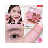 Zignature Maxx Cover Dewy Pink Palette