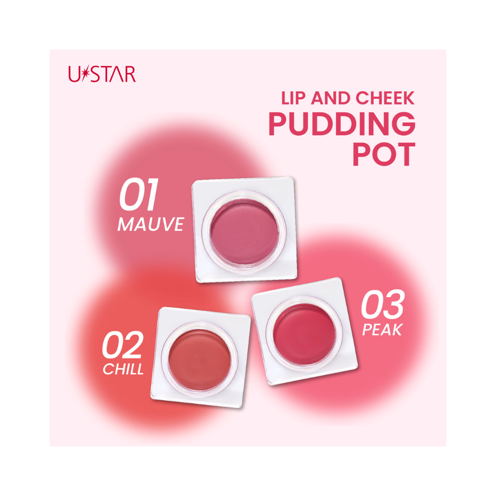 Lip & Cheek Pudding Pot #03 Peak – UStar Cosmetics